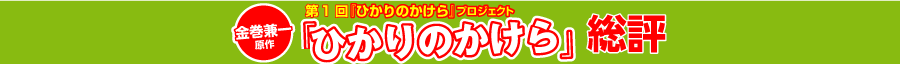 第2回『ひかりのかけら』プロジェクト金巻兼一原作・『ひかりのかけら』総評